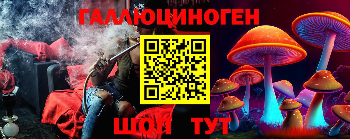 закладка  Вход с VPN  Луга  Псилоцибиновые грибы GOLDEN TEACHER 